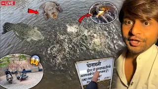 😳 Real Junglee Crocodile Dekha 🐍 Wo Bhi Etni Pass Se🐊😱 जान बची!