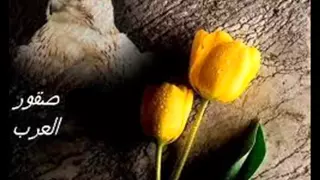 قبائل اولاد على خميس ناجى واحلى اغنية ما زلنا عرب دندنها