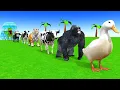 Download Lagu Long Slide Game with Cow Elephant Gorilla Hippopotamus Tiger 3d Animal Game Funny 3d Animals