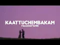 Pallichattambi - Kaattuchembakam (Lyrics) | Vishal Mishra And Aavani Malhar