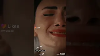 هد هدود دندنها