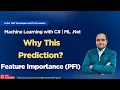Explain ML NET Models in C Using Permutation Feature Importance PFI