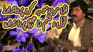 ای مردمو بہ کس پرواندارد امین اللہ Aminullah 