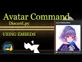 Avatar Command How to make your own Discord Bot using Python Episode