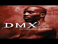 DMX- Intro (Arena Effect)