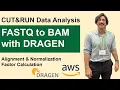 FASTQ to Aligned Reads The COMPLETE Guide to CUT RUN Alignment Normalization