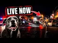 LIVE - BAKERSFIELD 911