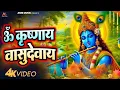 ॐ कृष्णाय वासुदेवाय हरये परमात्मने 🙏 | Om Krishnaya Vasudevaya | Krishna Bhajan 2025 | Bhakti Song