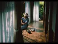 名残花 - nagoribana - HIRAIDAI