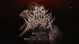 Download THE HATE PROJECT - FROM FLESH TO SOIL [OFFICIAL EP STREAM] (2022) SW EXCLUSIVE MP3