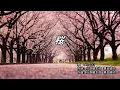【Cover】コブクロ「桜」（FULL サイズ：歌詞付き）KOBUKURO "SAKURA"