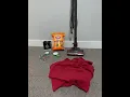 Download Lagu Fleas in carpet removal🐜 - DIY - easy and cheap Works for me😇