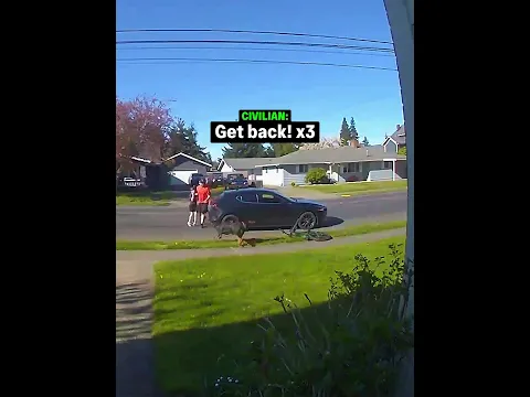 Civilians Rushed to Save the Kid 🐕😱 #usa