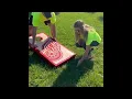 How to Measure your Cornhole Game The Regulator