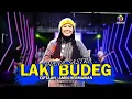 Download Lagu LAKI BUDEG - DIANA SASTRA II LAGU TARLING TERBARU 2022