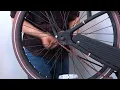 Abandoned Huffy Nel Lusso beach cruiser bicycle - let s fix it
