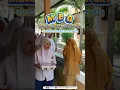 Download Lagu Makan Bergizi Gratis (MBG)#makangratis #sekolahkesetaraan