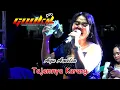 Lagu Ayu Amelia  ( Tajamnya Karang  ) Gookil Pro