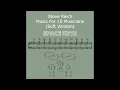 Steve Reich - Music for 18 Musicians (Soft Version)