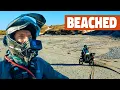 Download Lagu Scottish Sand is NOT easy! 🏴󠁧󠁢󠁳󠁣󠁴󠁿 | S1E90