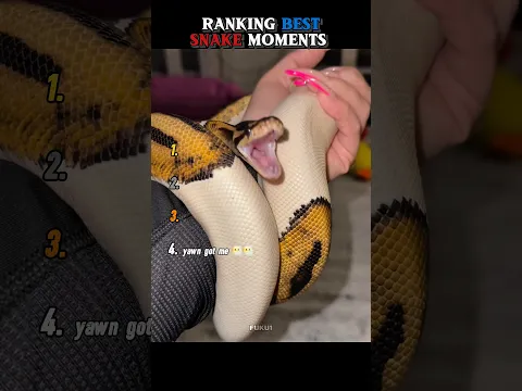 Ranking funniest snake moments!ππ #shorts