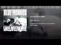 Acceleration 5000 (live)