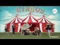 Dancebugs - For ages 3 years and up