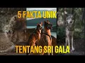 5 FAKTA FILOSOFI SRIGALA JARANG DI KETAHUI PUBLIK
