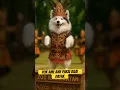 Download Lagu pok ame ame cilukba ~ Anjing lucu ~ belalang kupu kupu #laguanak #pokameame #belalangkupukupu