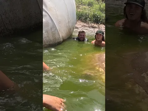 Giant catfish found  hiding in a sunken cement mixer!! He had himself quite a mansion!!