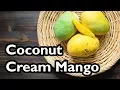 Download Lagu Truly Tropical Mango Varieties- 'Coconut Cream'