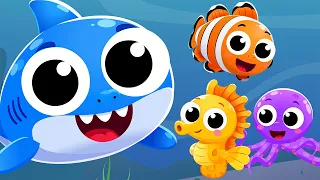 I'm a Baby Shark 🦈 | Ocean Animals Learning Song for Kids 🎶 Song for Preschoolers for Circle Time