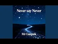 Lagu Never say never
