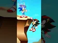 Sonic and Shadow on a CLIFF