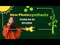 Photosynthesis Explained in 60 Seconds