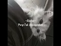 Download Lagu Pergi Tak Meninggalkan ~Ekshan