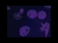 I Hate Models – Daydream | VHS style visual video