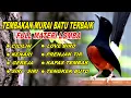 Lagu 🔴 LIVE 05 - Masteran Murai Batu Pagi Hari Full Isian Tembakan Kasar buat Murai trotol cepat masuk