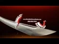 Black Belt Karate Studio of Racine WI