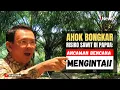 Viral! AHOK BERSUARA KERAS! Sawit Masuk Papua Bisa Picu Bencana Seperti di Sumatera