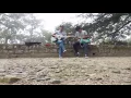 Download Lagu \