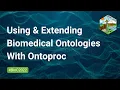 Using And Extending Biomedical Ontologies With Ontoproc