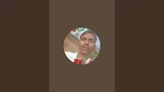 life experience
