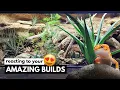 You WON T Believe These Leopard Gecko Tanks BIOACTIVE NATURALISTIC
