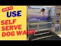 How To Use A Self Serve Dog Wash Station