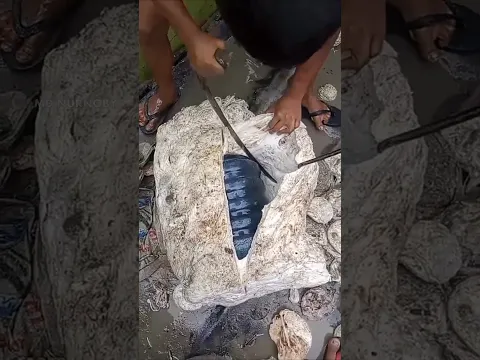 রাবার কেন কেটে পরীক্ষা করা হয় | Rubber Cutting
