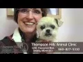 Thompson Hills Animal Clinic in Sedalia MO