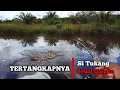 Spot Keramat! Terciduknya ikan tukang begal umpan #iwakkaring