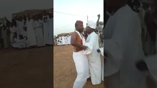 البشري جاد السيد في المحمية العوضاب 