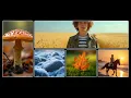 Mastering SCSS Grid Layout Responsive Image Gallery using HTML SCSS